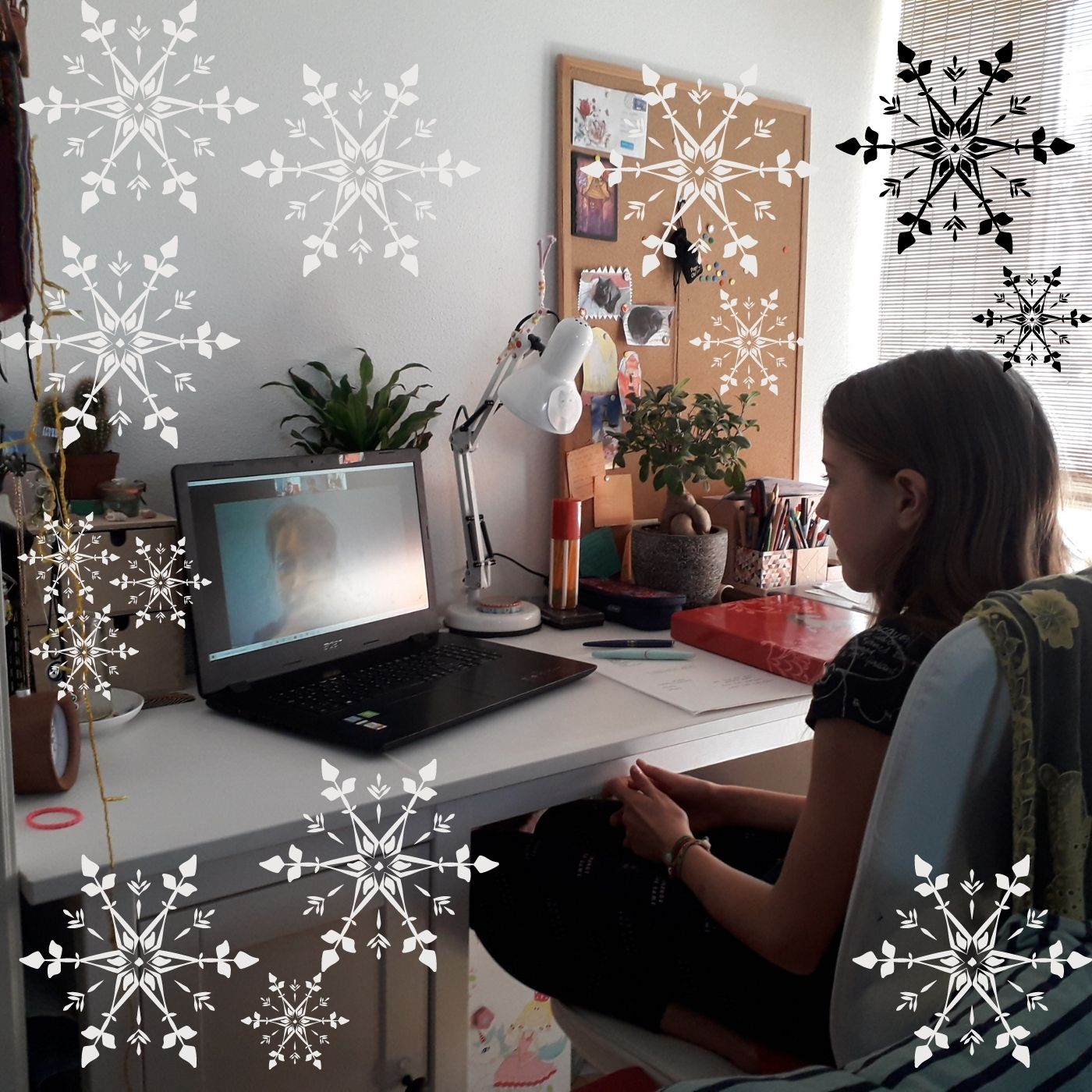 online vyuka web